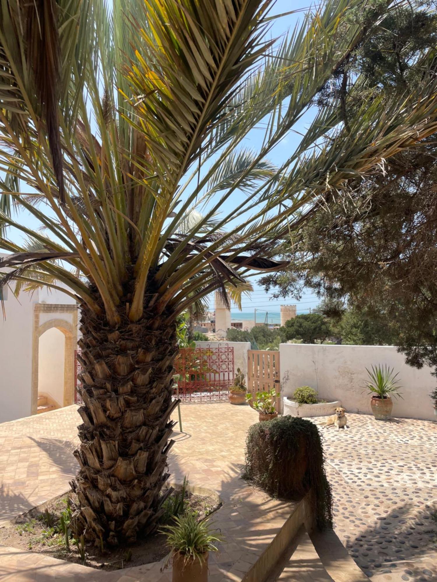 Hotel Villa Soleil Sidi Kaouki Εξωτερικό φωτογραφία